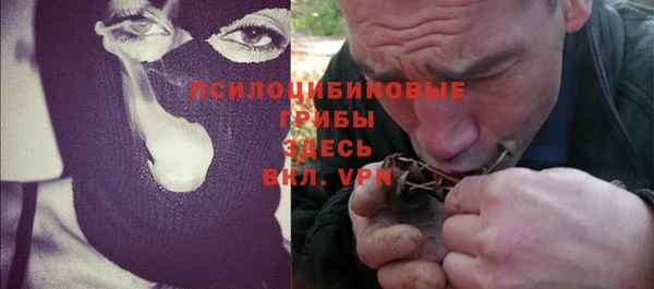 амф Горняк