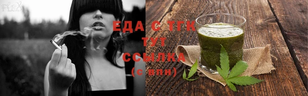 амф Горняк