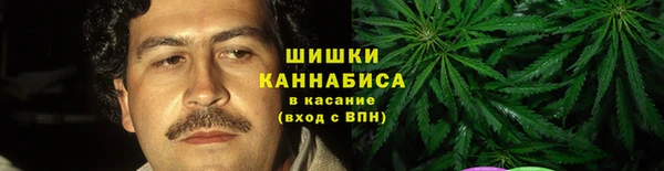 амф Горняк