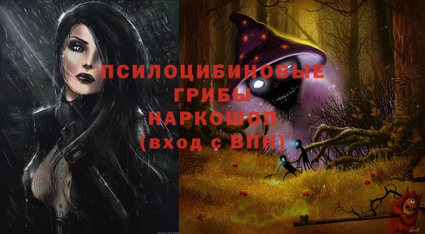 бошки Горнозаводск