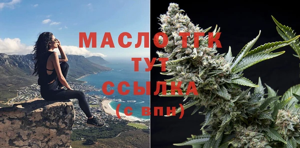 амф Горняк