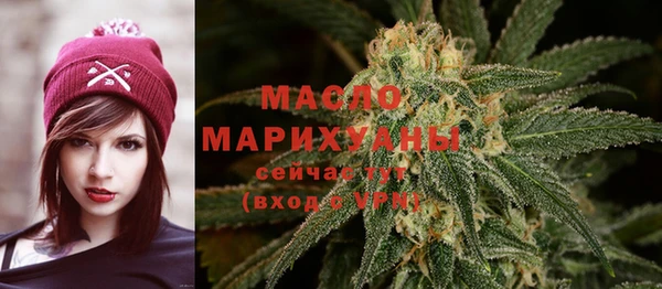амф Горняк