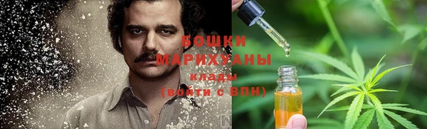 амф Горняк