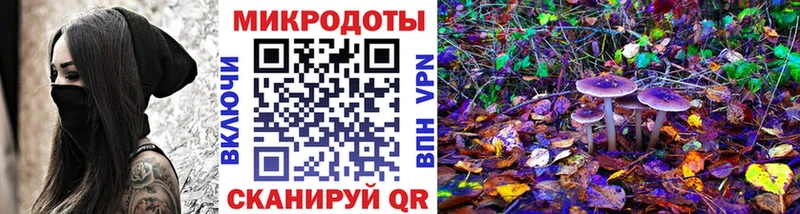 Купить закладки  Новая Ляля  Галлюциногенные грибы ЛСД 